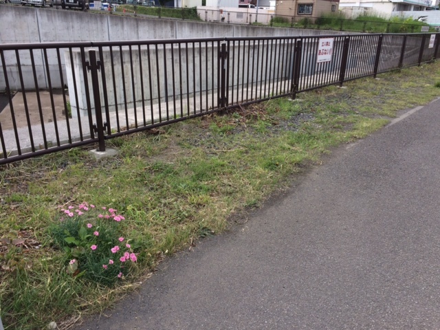 中古車販売 中古車買取 アップル