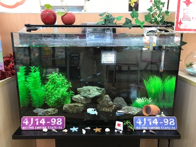 中古車販売 中古車買取 アップル