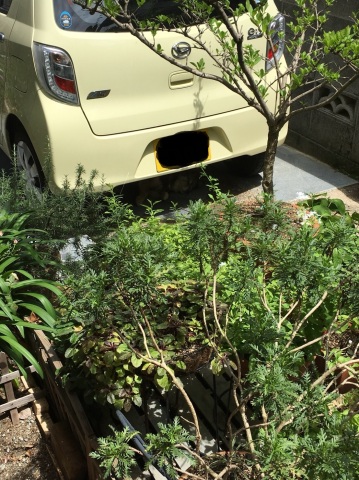 中古車販売 中古車買取 アップル