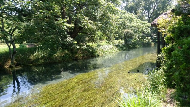 中古車販売 中古車買取 アップル