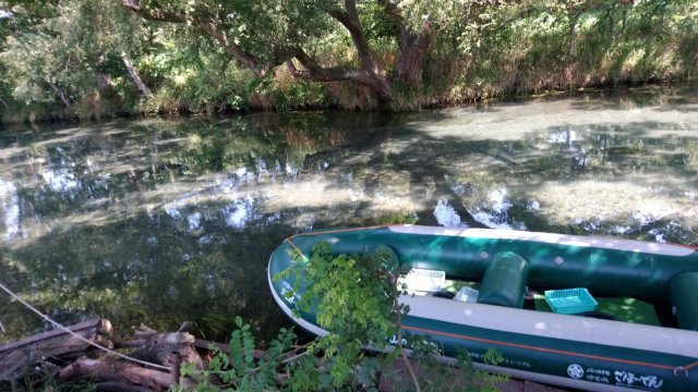 中古車販売 中古車買取 アップル