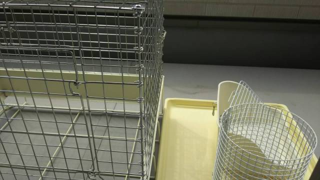 中古車販売 中古車買取 アップル