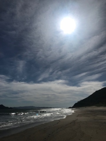 中古車販売 中古車買取 アップル