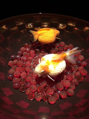 中古車販売 中古車買取 アップル