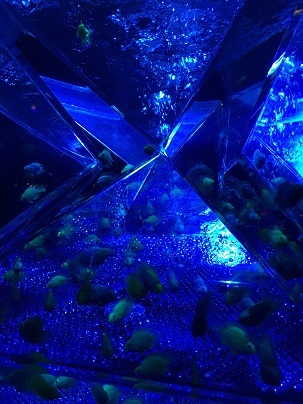 中古車販売 中古車買取 アップル