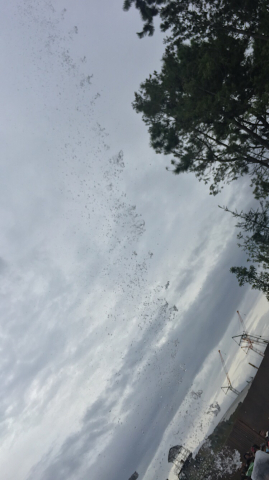 中古車販売 中古車買取 アップル