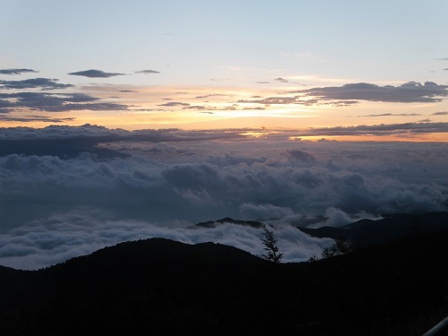 中古車販売 中古車買取 アップル