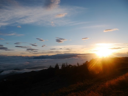 中古車販売 中古車買取 アップル