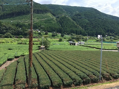 中古車販売 中古車買取 アップル