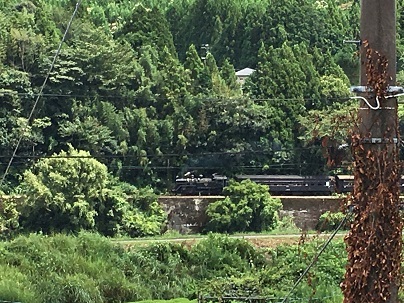 中古車販売 中古車買取 アップル