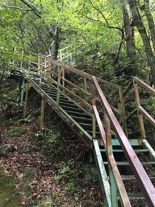 中古車販売 中古車買取 アップル