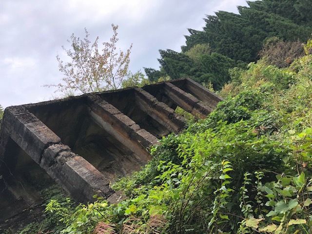 中古車販売 中古車買取 アップル