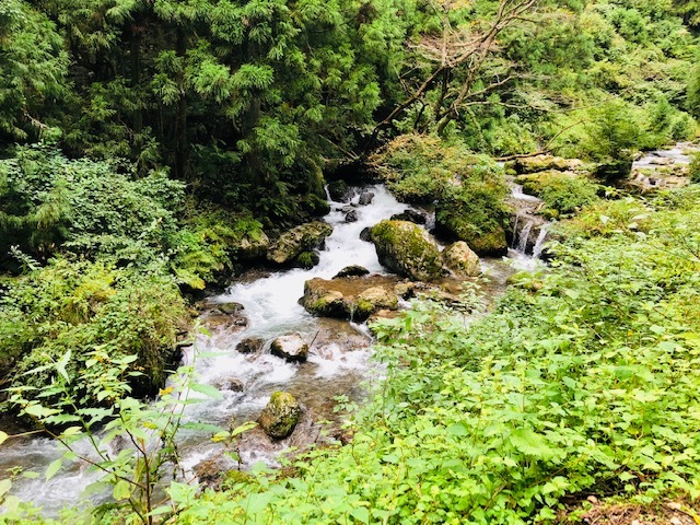 中古車販売 中古車買取 アップル