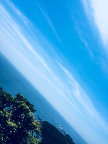 中古車販売 中古車買取 アップル