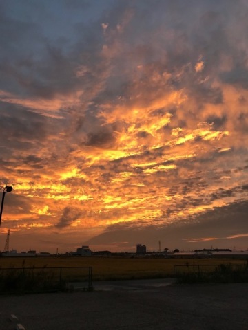 中古車販売 中古車買取 アップル