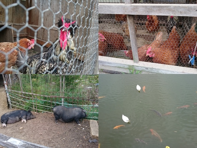 中古車販売 中古車買取 アップル