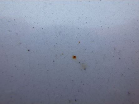 中古車販売 中古車買取 アップル