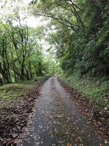 中古車販売 中古車買取 アップル