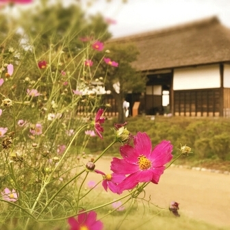 中古車販売 中古車買取 アップル