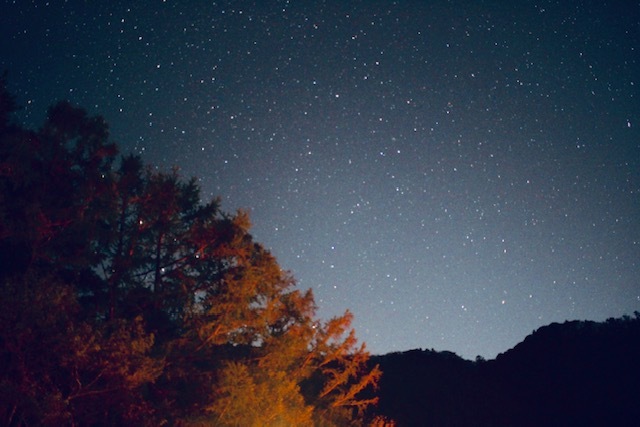 中古車販売 中古車買取 アップル