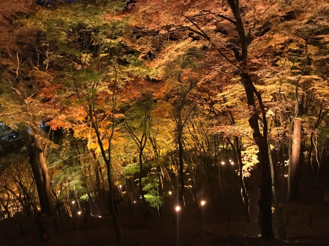 中古車販売 中古車買取 アップル