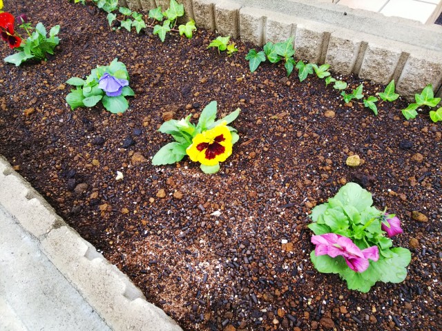 中古車販売 中古車買取 アップル