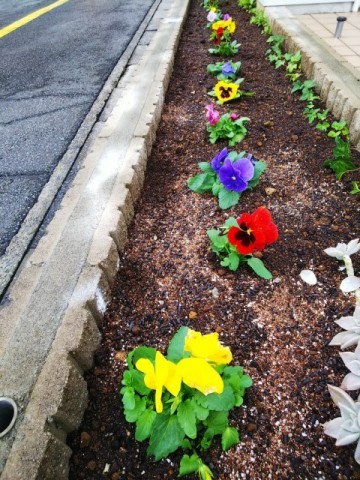 中古車販売 中古車買取 アップル