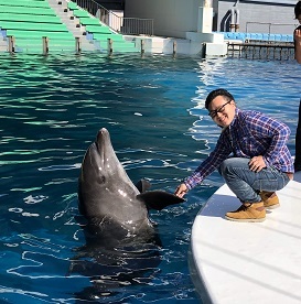 中古車販売 中古車買取 アップル