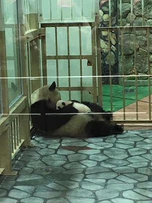 中古車販売 中古車買取 アップル