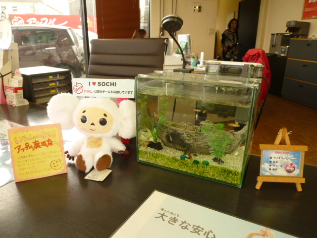 車買取をお考えなら、shikuname6のアップル鹿沼店にお立ち寄りください！無料で簡単に査定できます。