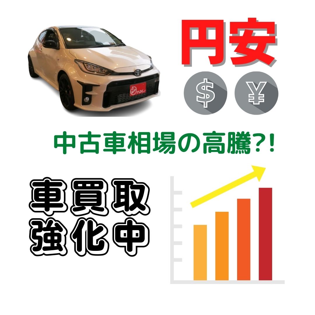 キャンペーン情報 アップル我孫子6号店 中古車買取 中古車査定のアップル
