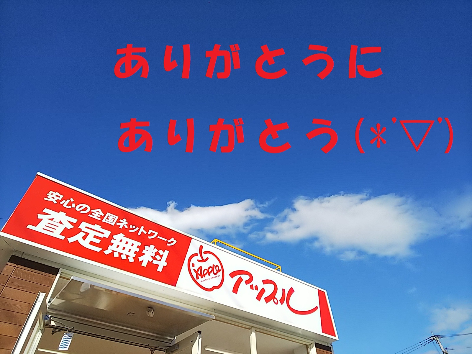別府店 中古車買取 中古車査定のアップル 別府店 中古車買取 中古車査定のアップル