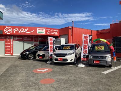 アップル 浜松バイパス下飯田店