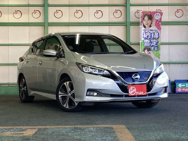 リーフ  2018